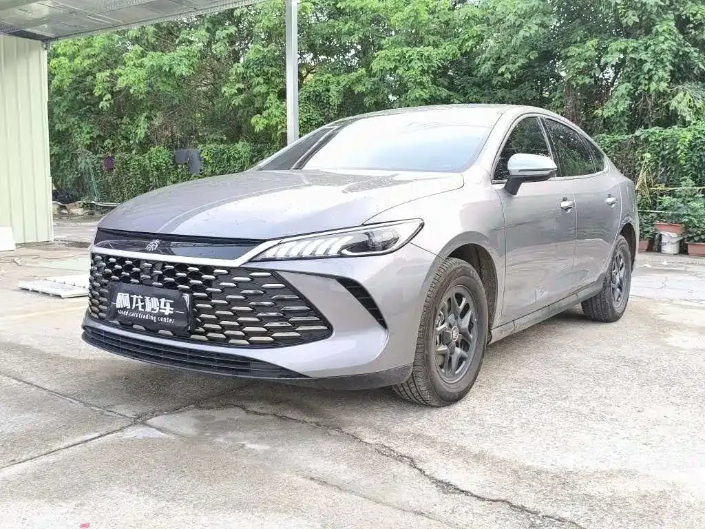 BYD Qin PLUS — фото 1