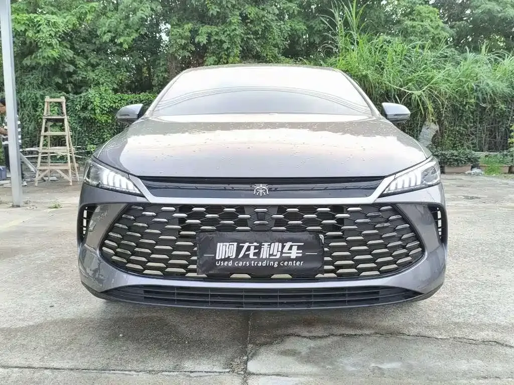 BYD Qin PLUS — фото 6