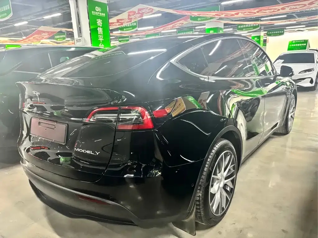 Tesla Model Y 2023 из CN, фото 6
