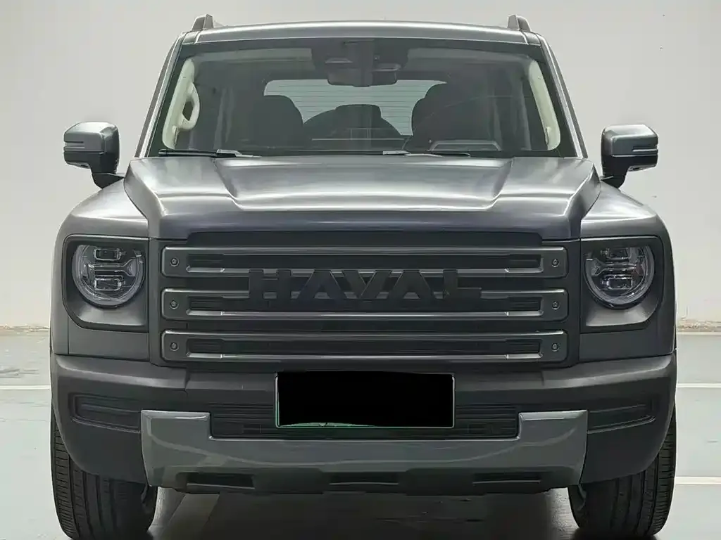 Haval Menglong New Energy 2025 из CN, фото 2