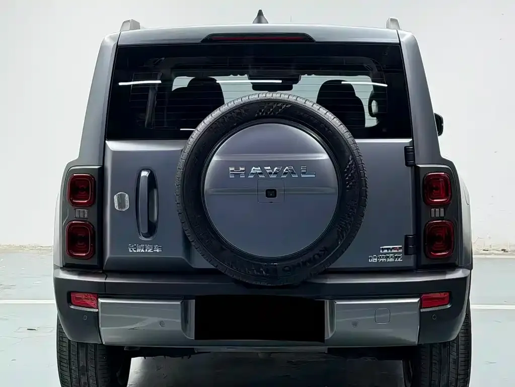 Haval Menglong New Energy 2025 из CN, фото 4