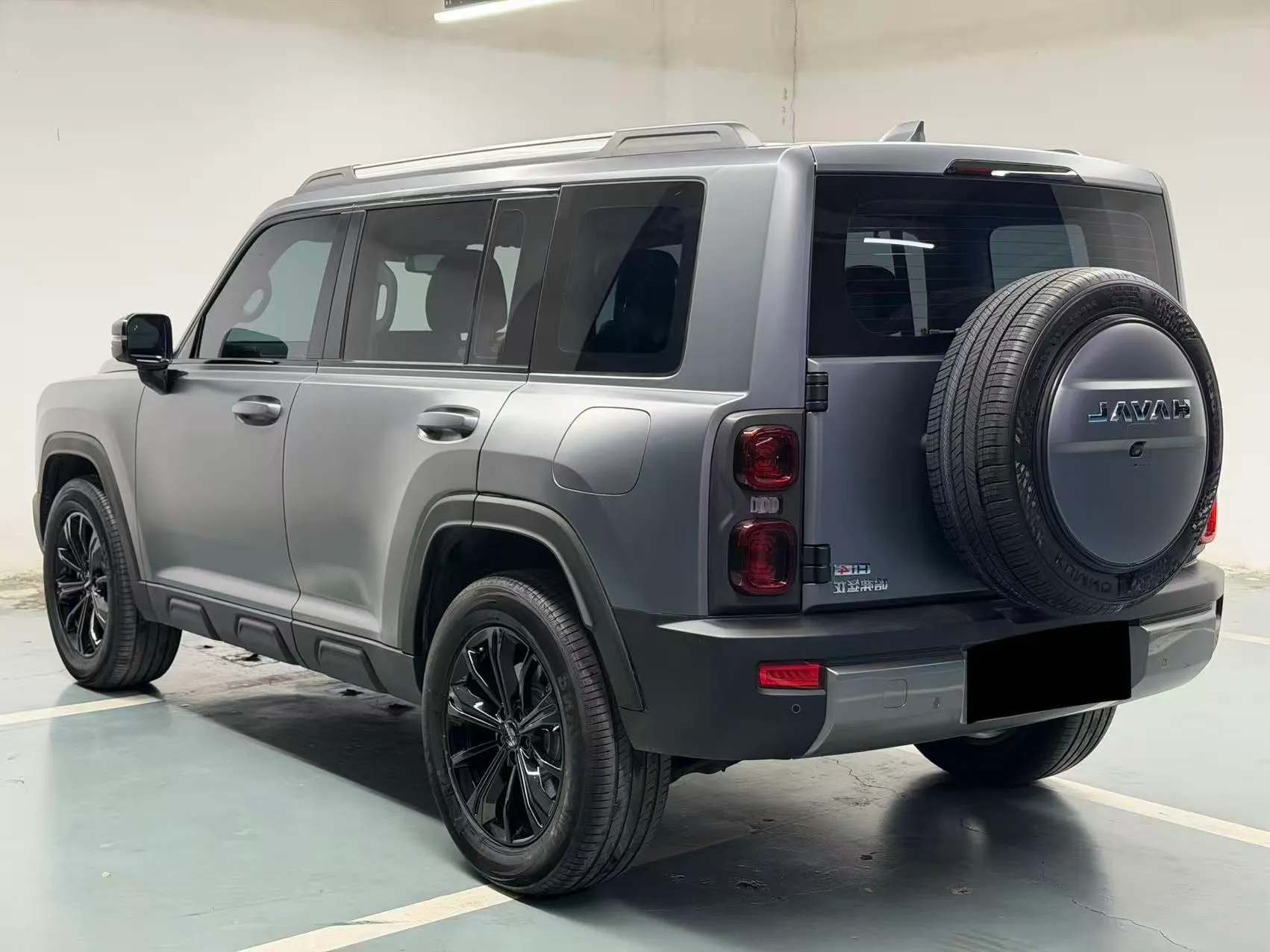 Haval Menglong New Energy 2025 из CN, фото 9