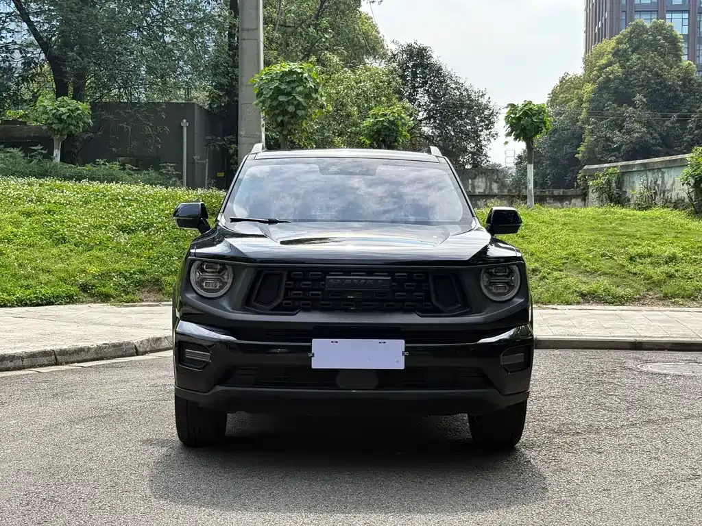 Haval H7 (Big Dog Plus) — фото 10