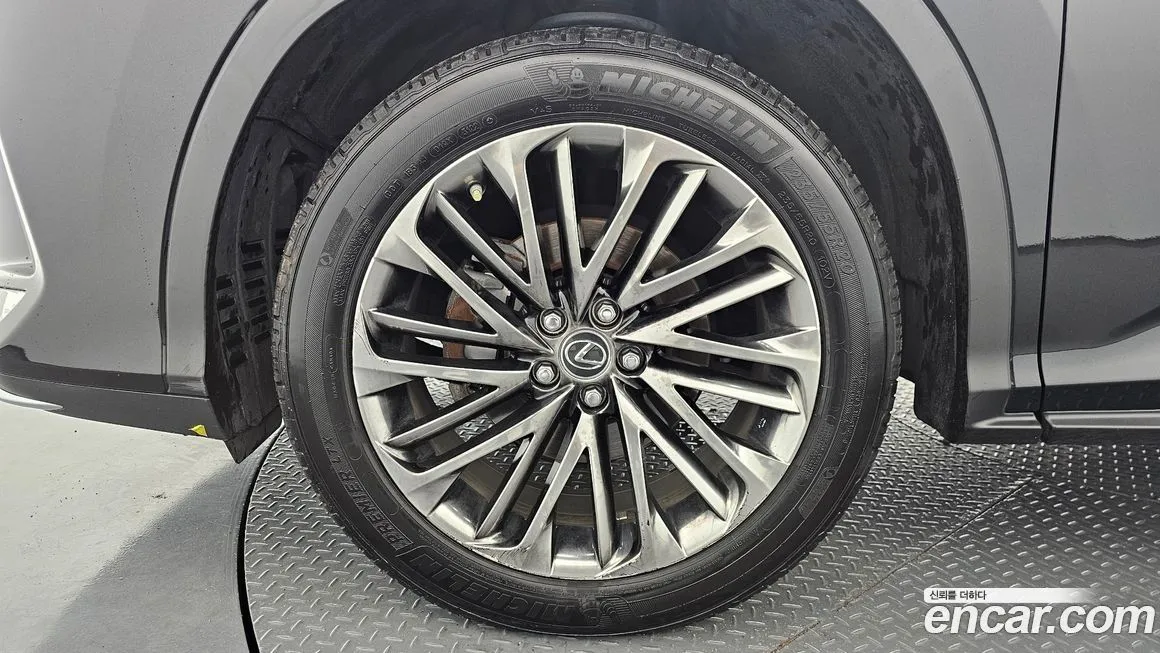 Lexus RX 2022 из KR, фото 10