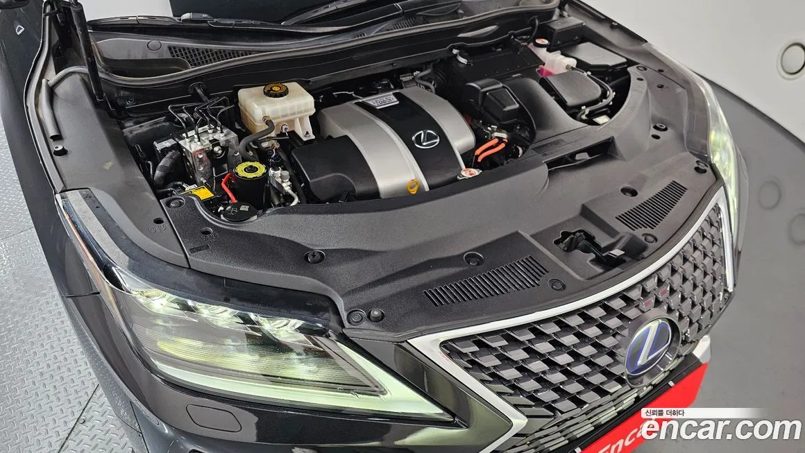 Lexus RX 2022 из KR, фото 9