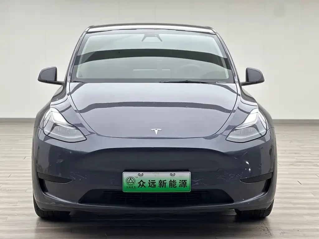 Tesla Model Y — фото 2