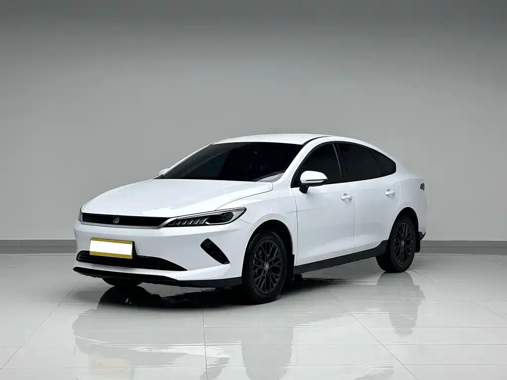BYD Qin PLUS — фото 1