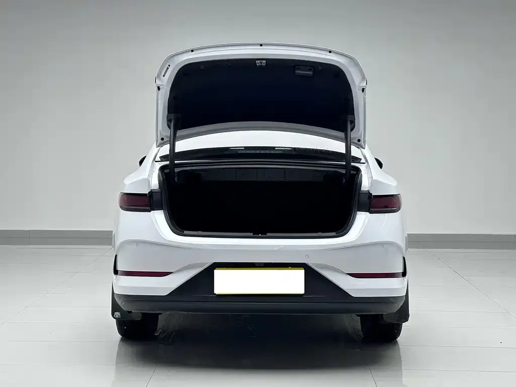 BYD Qin PLUS — фото 10