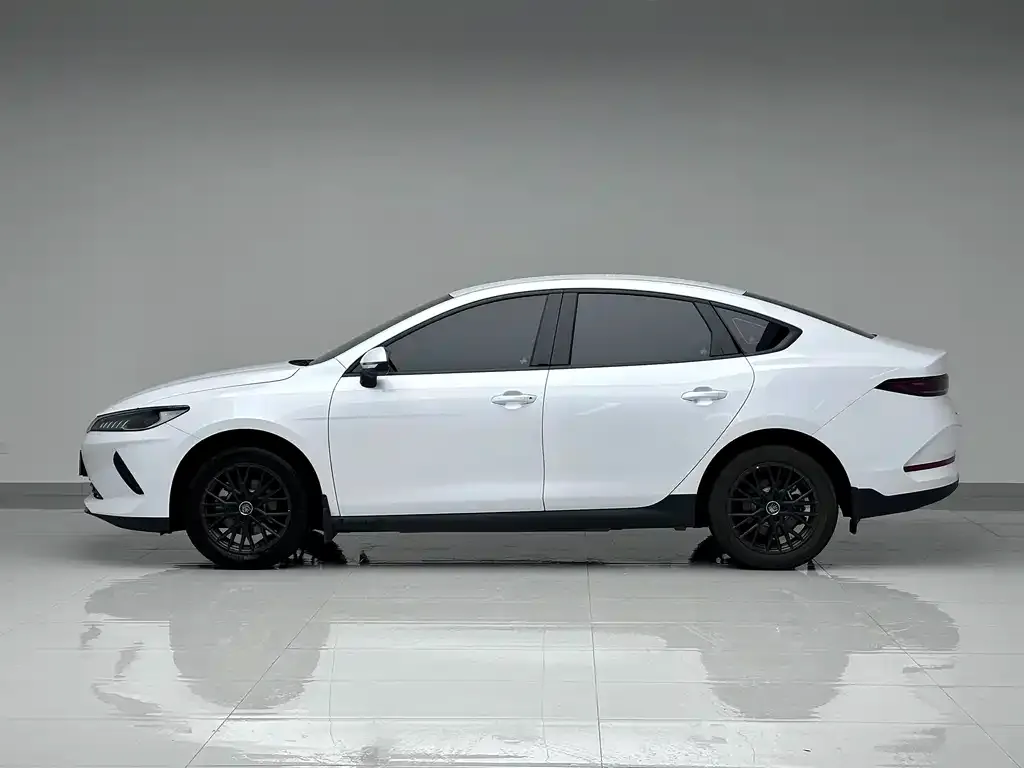 BYD Qin PLUS — фото 3