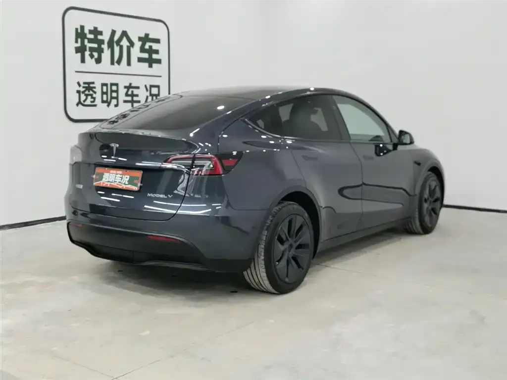 Tesla Model Y — фото 2
