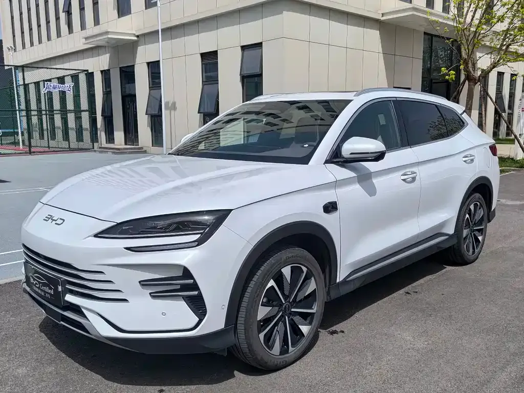BYD PLUS New Energy — фото 1