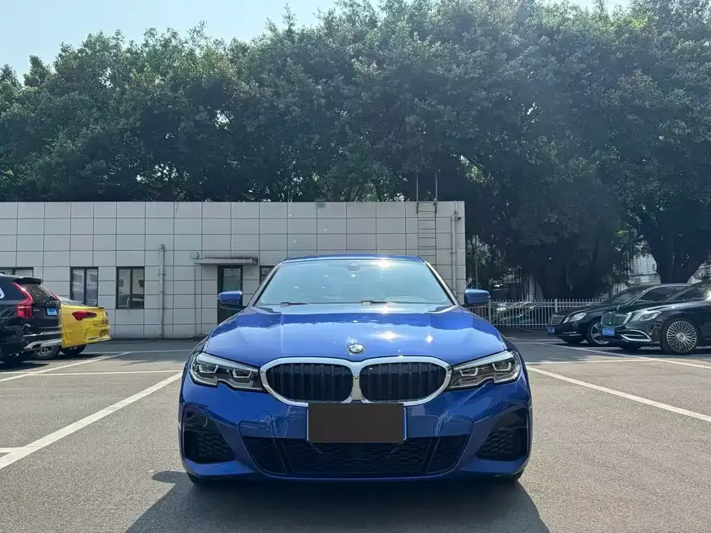 BMW 3 Series 2021 из CN, фото 6