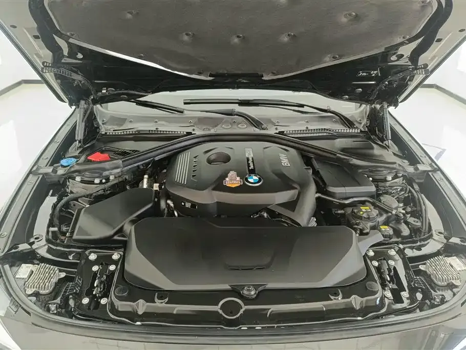BMW 3 Series GT 2021 из CN, фото 9