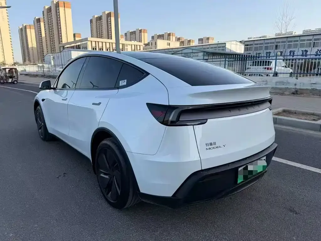 Tesla Model Y — фото 8