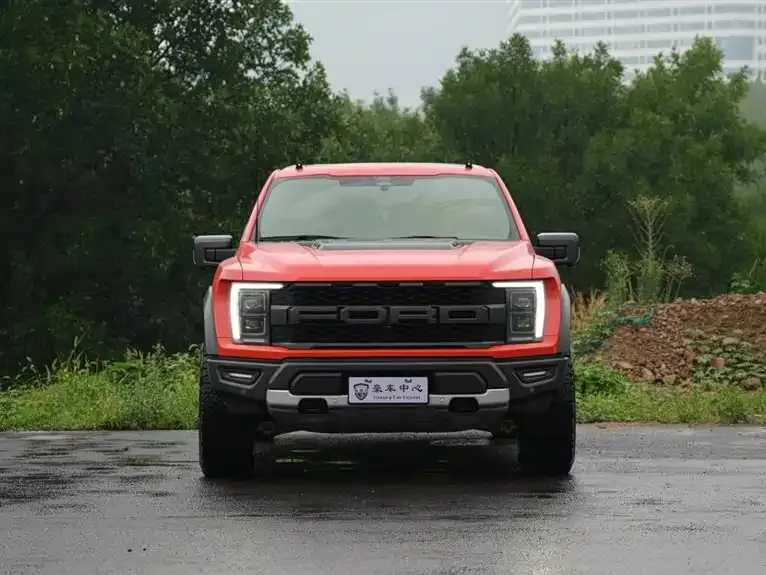 Ford F-150 Raptor — фото 6