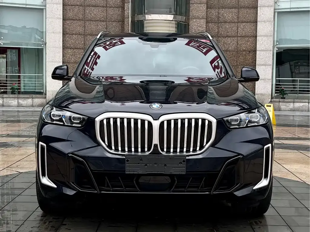 BMW X5 — фото 4
