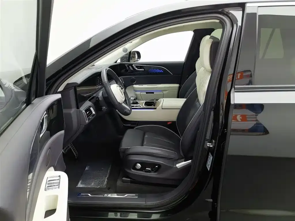 Hongqi E-HS9 2021 из CN, фото 9