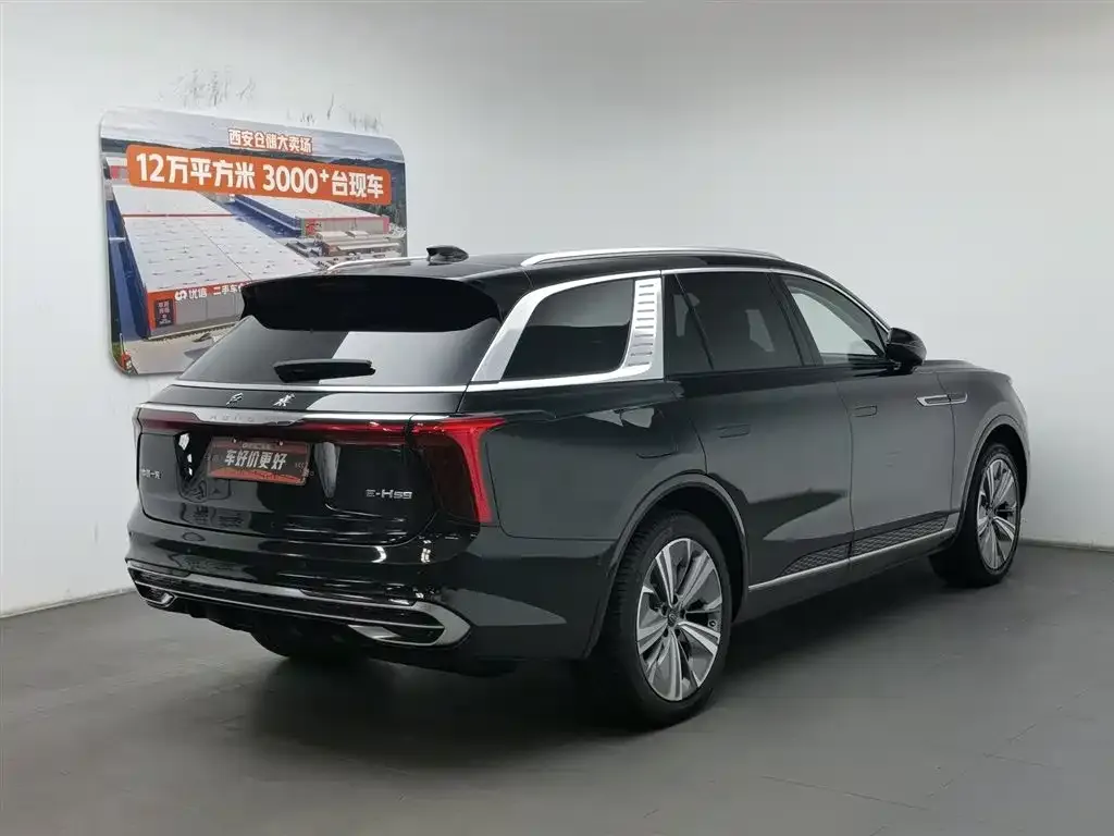 Hongqi E-HS9 2021 из CN, фото 4