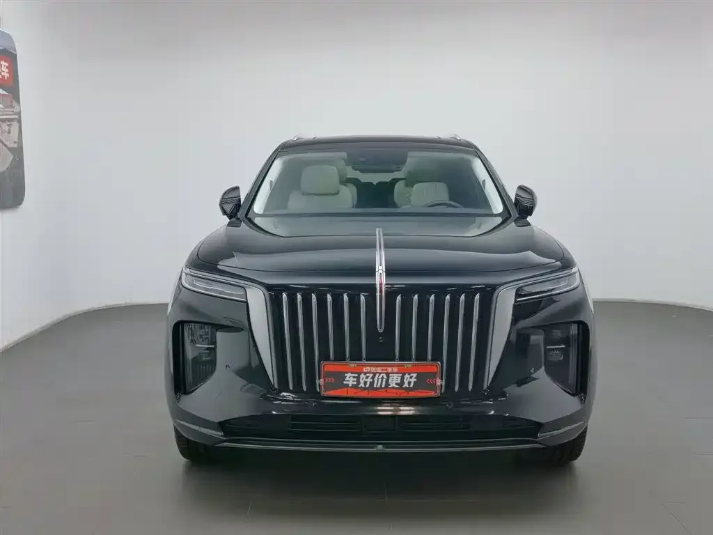 Hongqi E-HS9 2021 из CN, фото 5