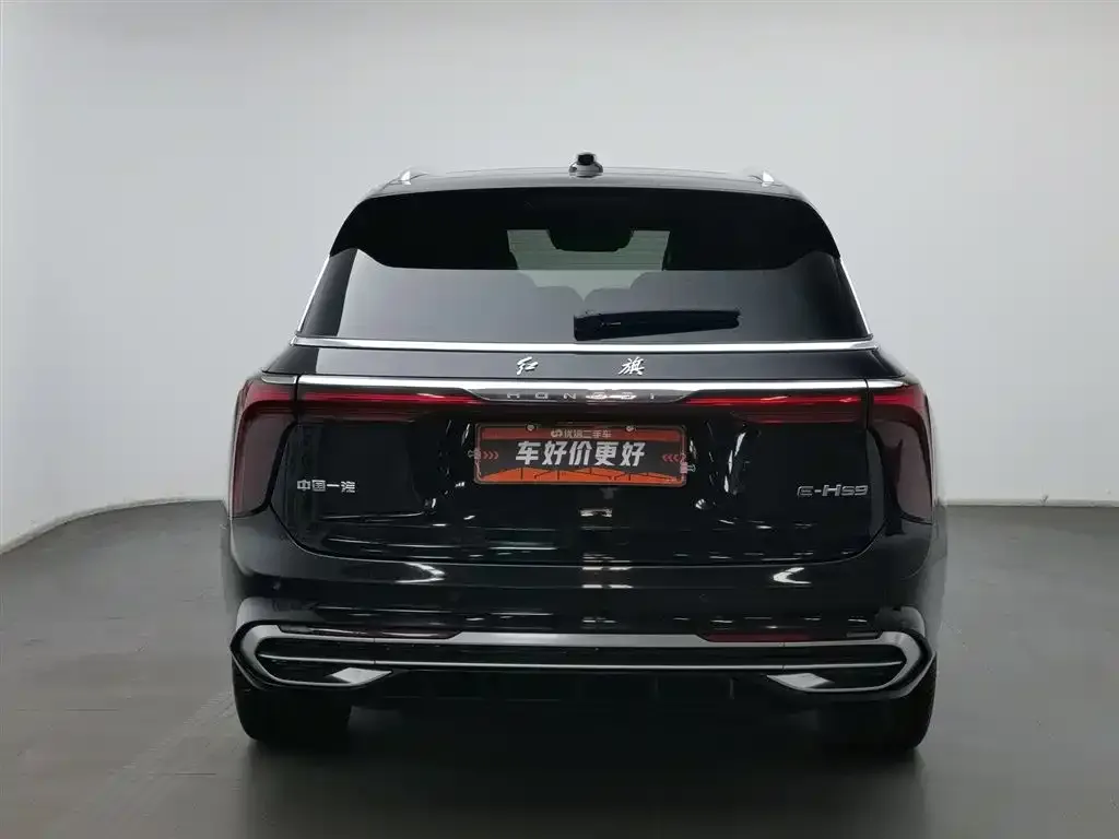 Hongqi E-HS9 2021 из CN, фото 8