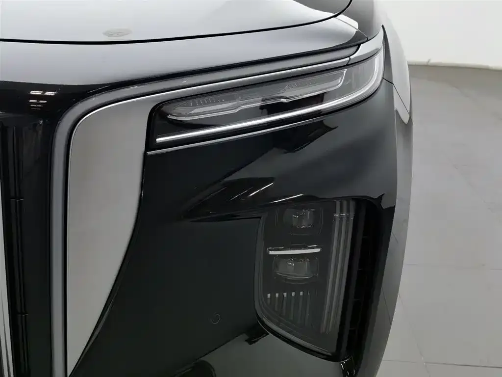 Hongqi E-HS9 2021 из CN, фото 6