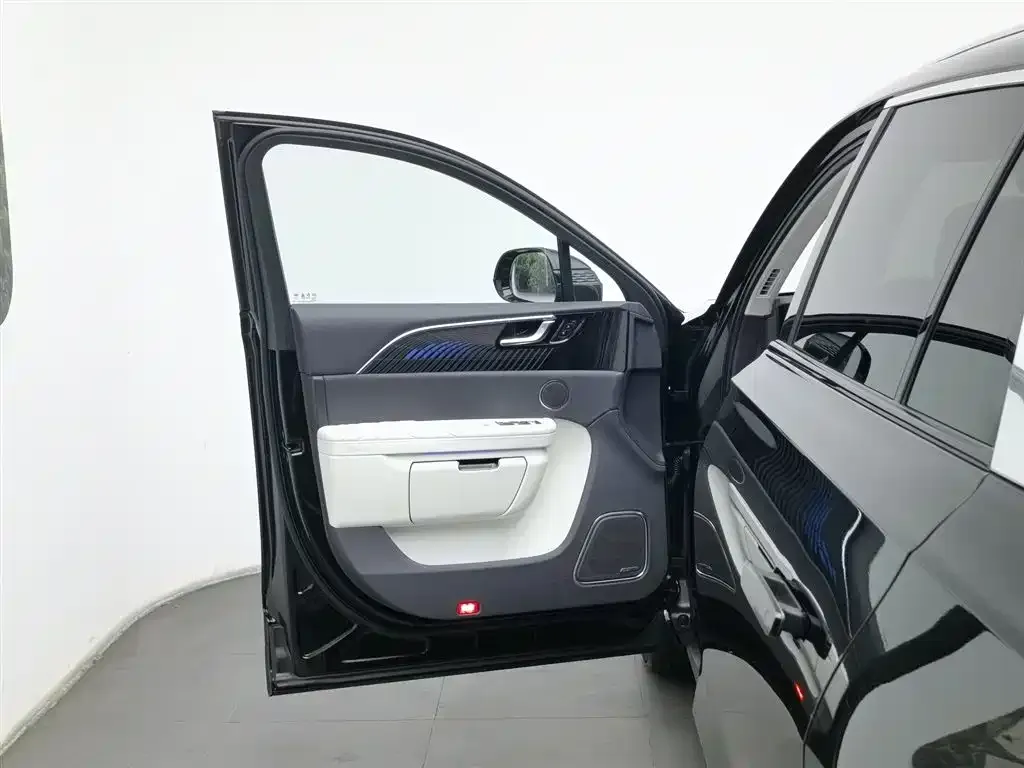 Hongqi E-HS9 2021 из CN, фото 3