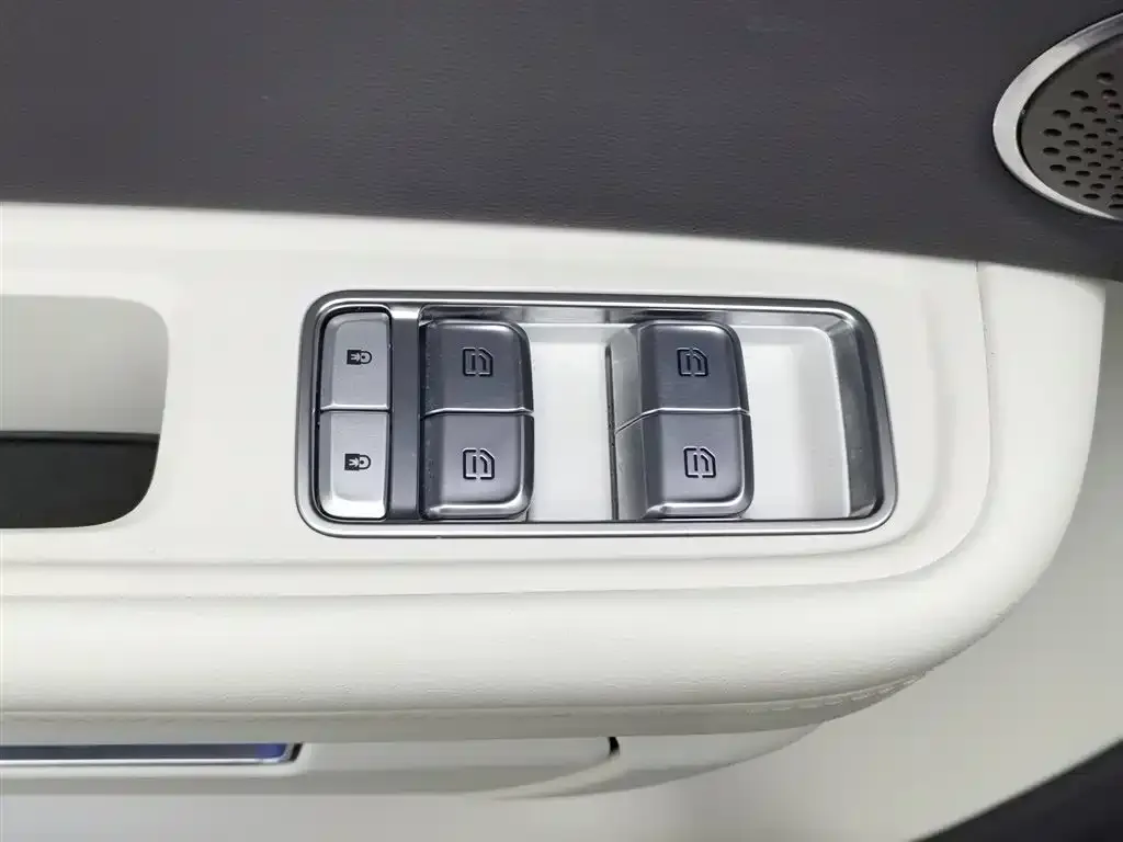 Hongqi E-HS9 2021 из CN, фото 2