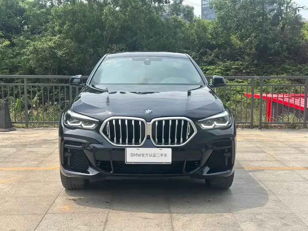 BMW X6 2022 из CN, фото 8
