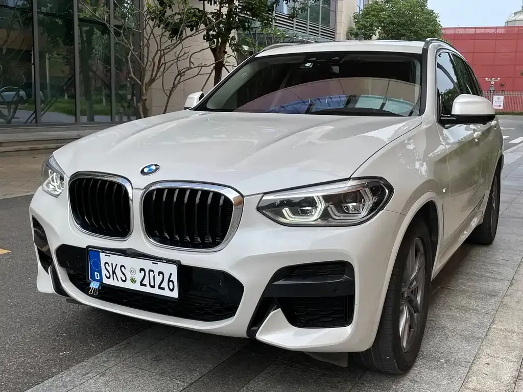 BMW X3 — фото 1