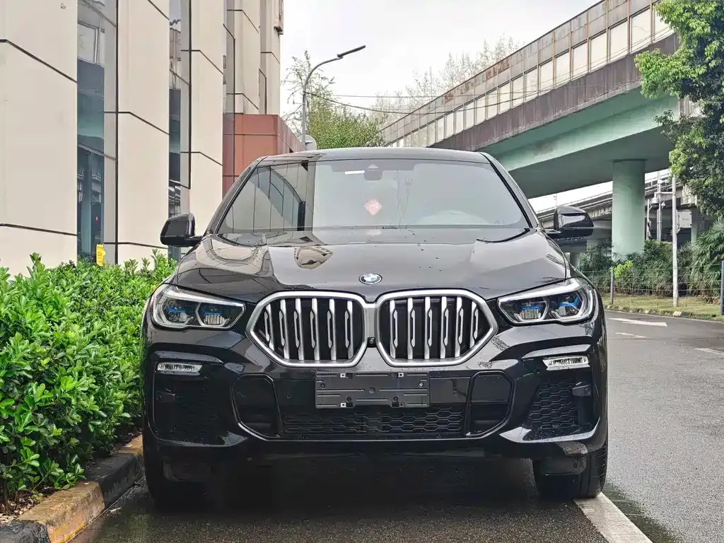 BMW X6 2021 из CN, фото 7