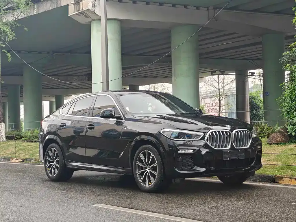 BMW X6 2021 из CN, фото 9