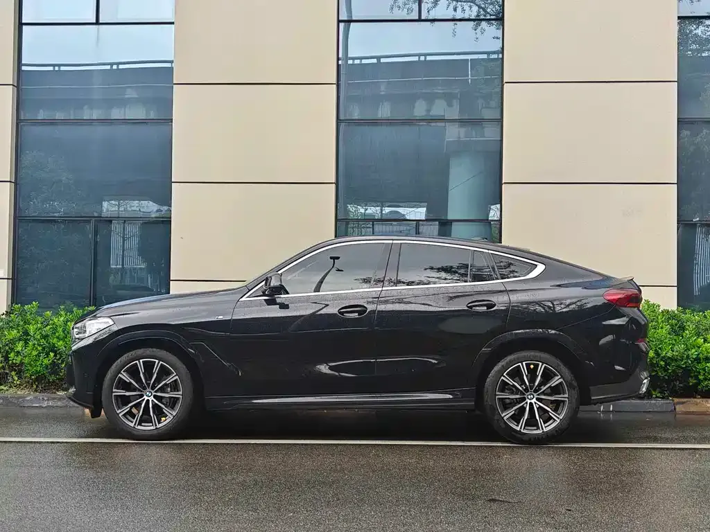 BMW X6 2021 из CN, фото 6