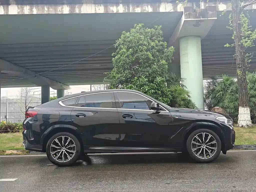 BMW X6 2021 из CN, фото 10