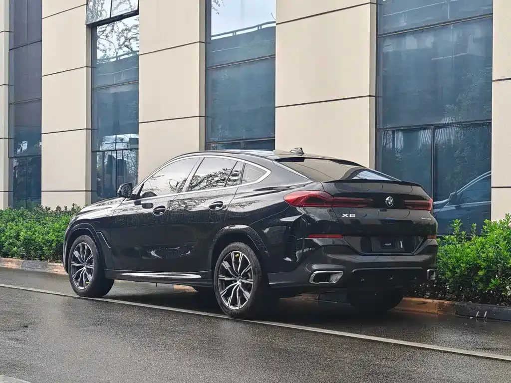 BMW X6 2021 из CN, фото 5
