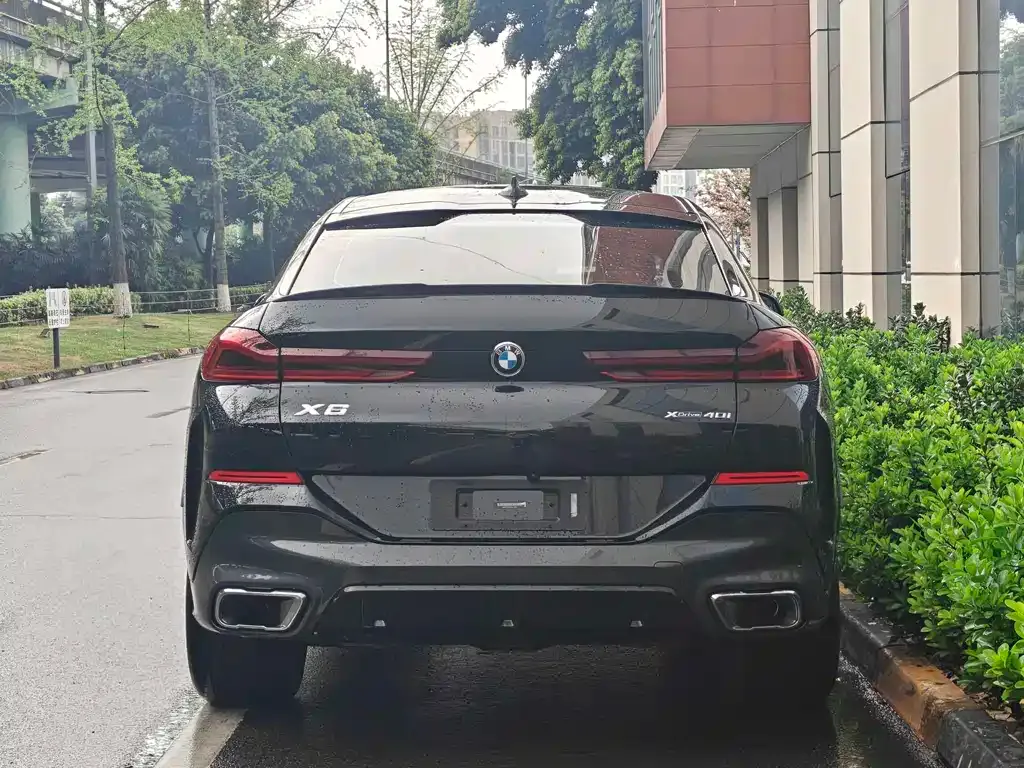 BMW X6 2021 из CN, фото 4