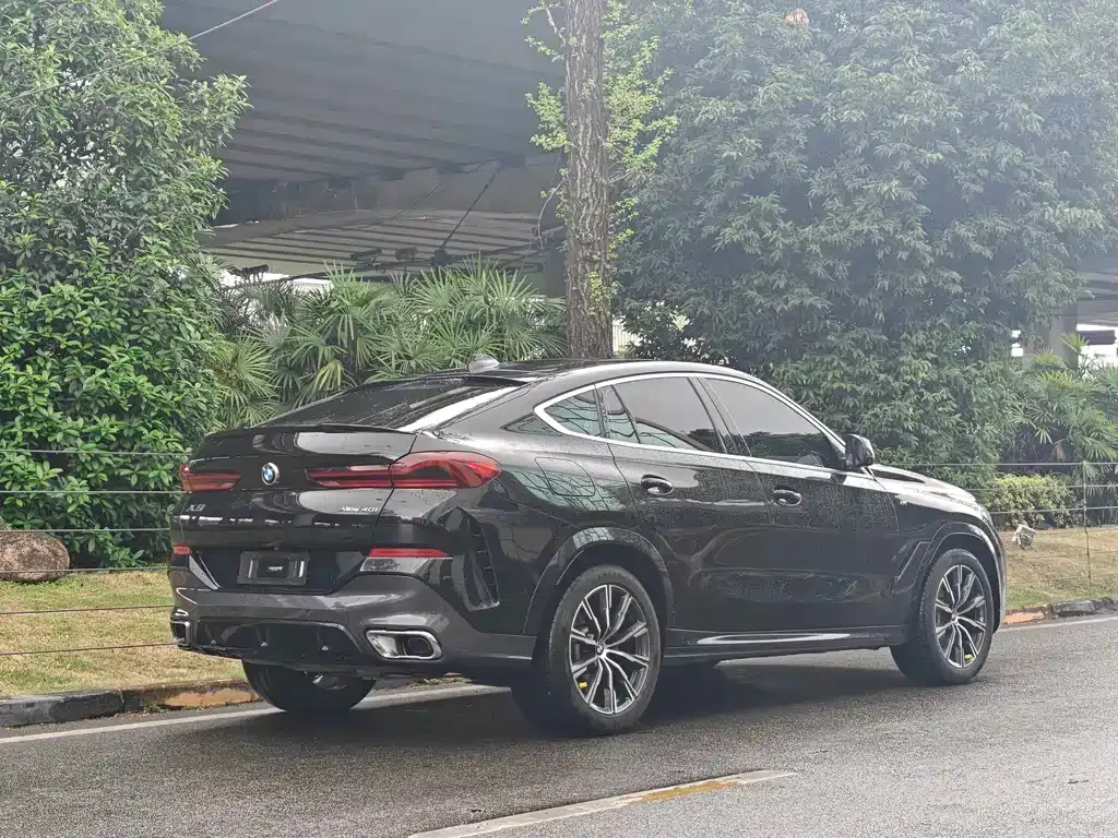BMW X6 2021 из CN, фото 8