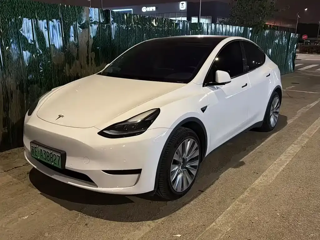 Tesla Model Y — фото 1