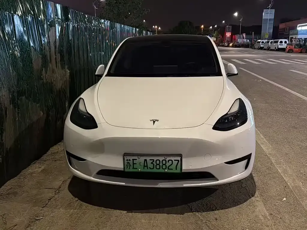 Tesla Model Y — фото 9