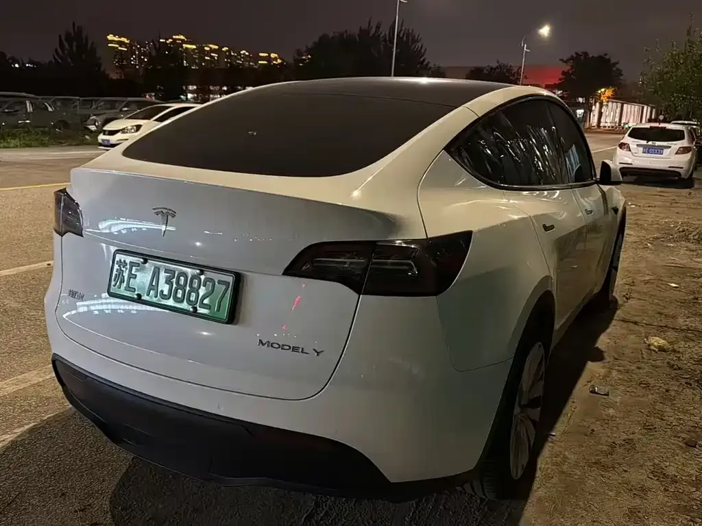 Tesla Model Y — фото 6