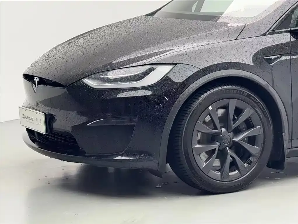 Tesla Model X 2023 из CN, фото 9