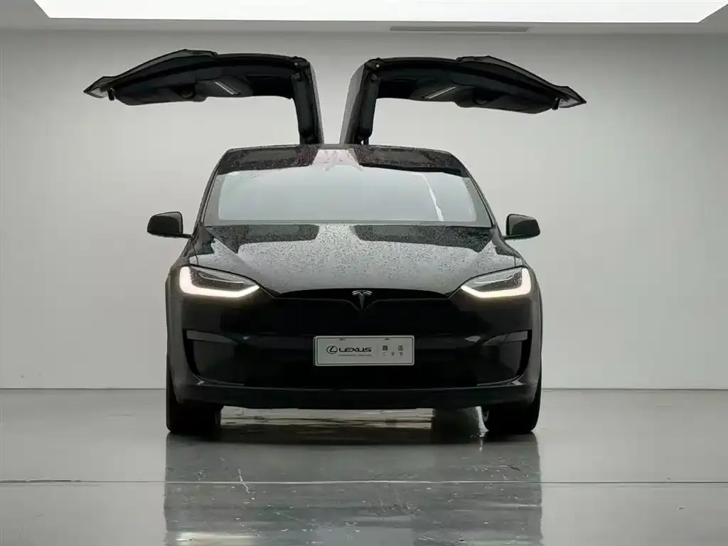 Tesla Model X 2023 из CN, фото 8