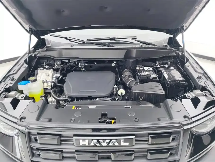 Haval Big Dog — фото 7