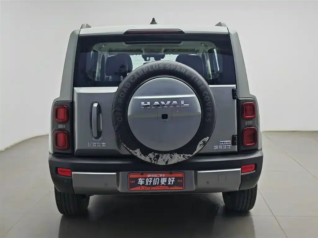 Haval Menglong New Energy 2024 из CN, фото 3