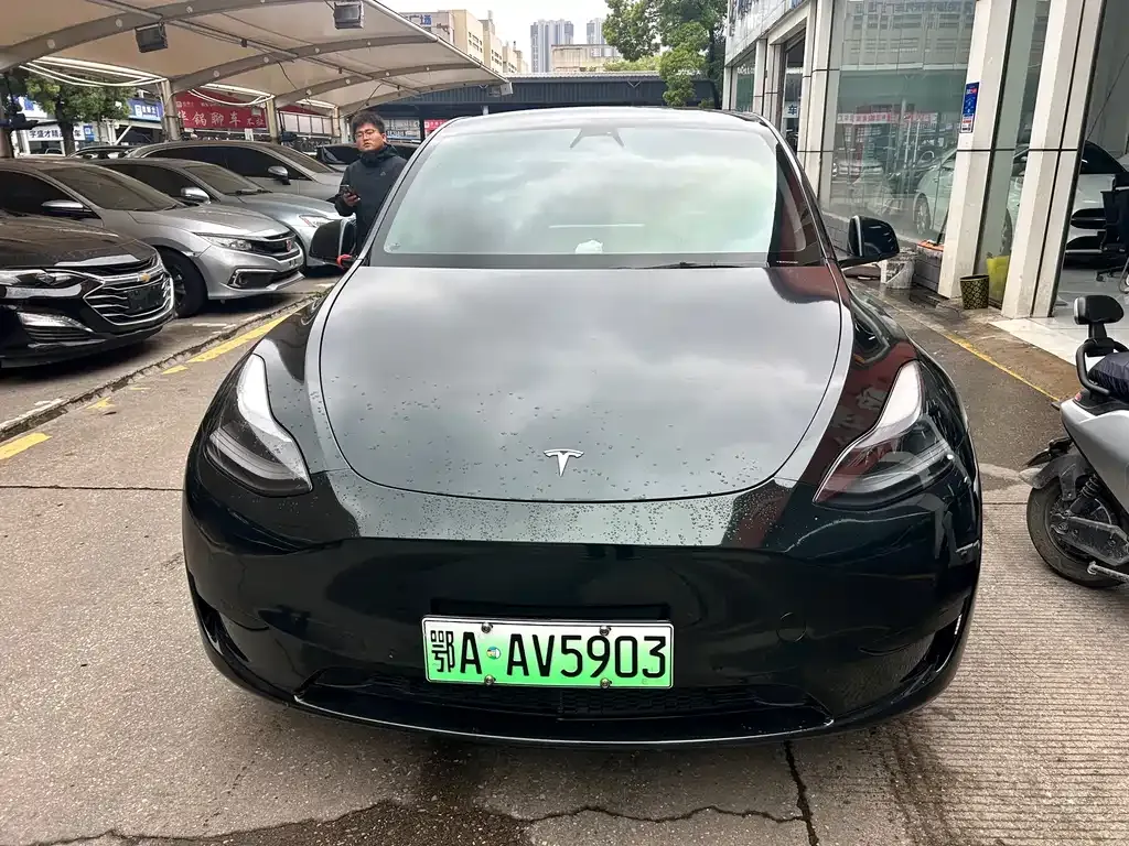 Tesla Model Y — фото 1