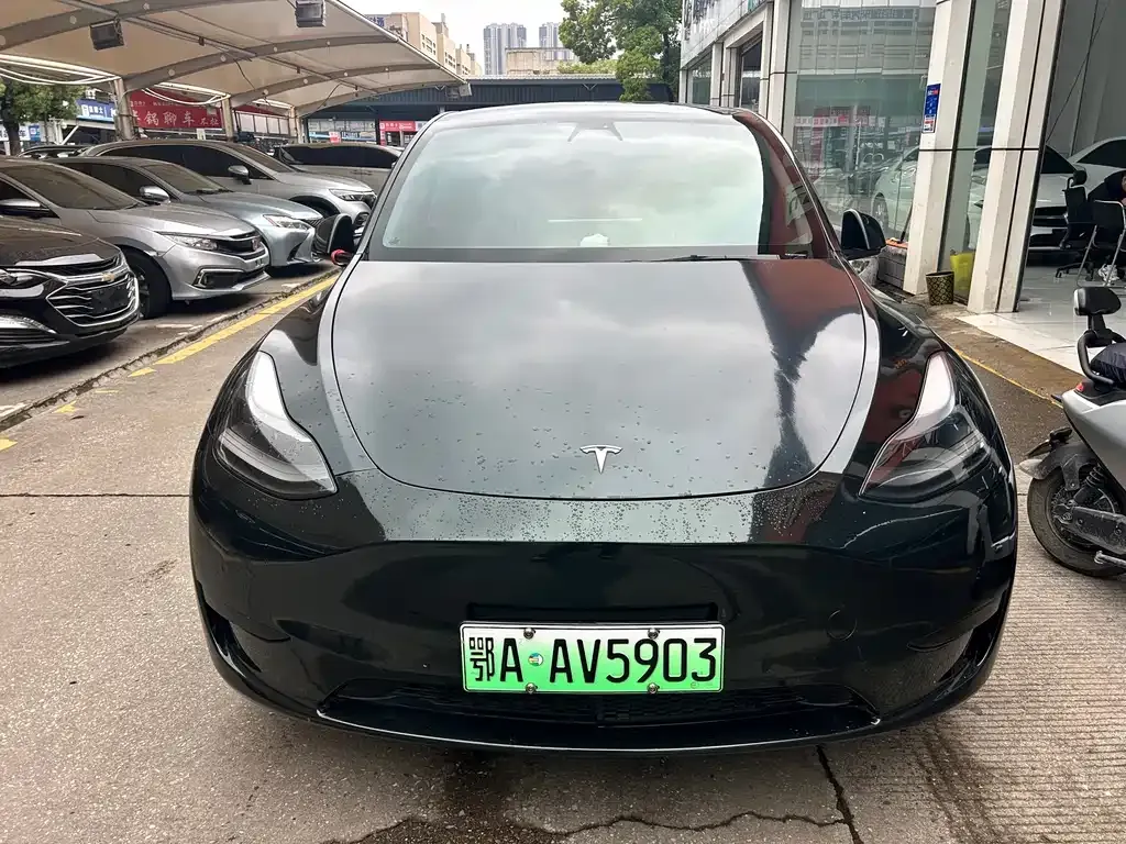 Tesla Model Y — фото 6