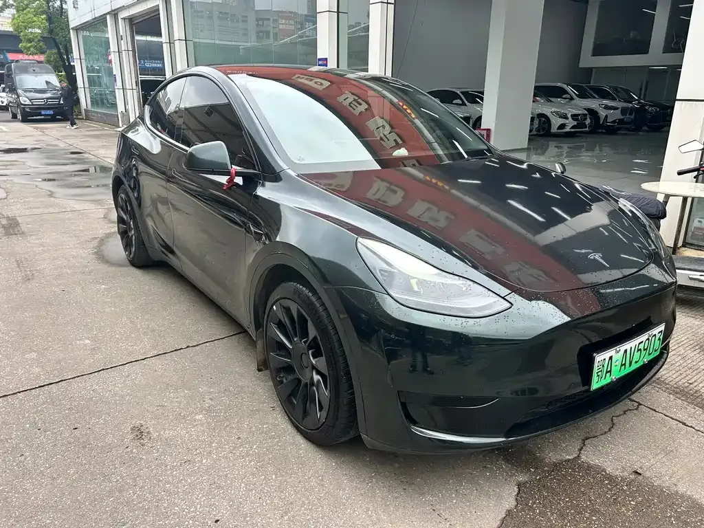 Tesla Model Y — фото 10
