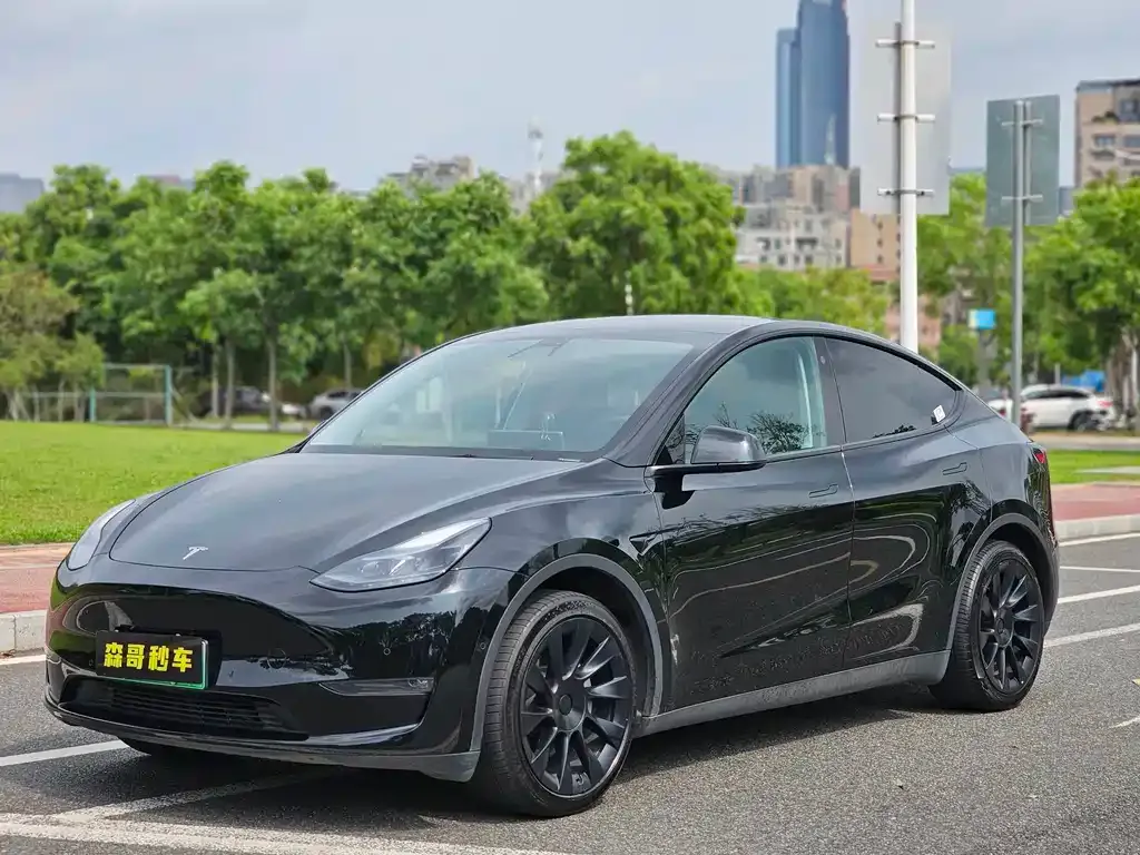 Tesla Model Y — фото 1