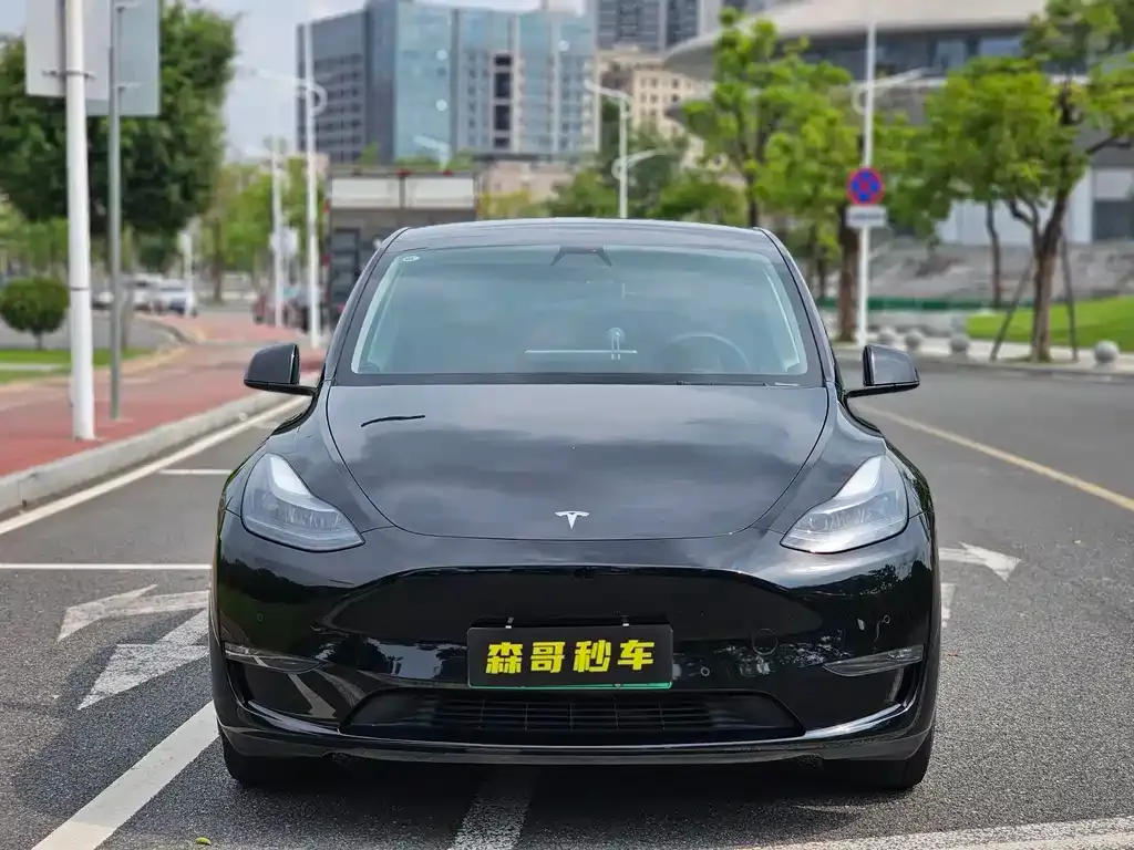 Tesla Model Y — фото 5