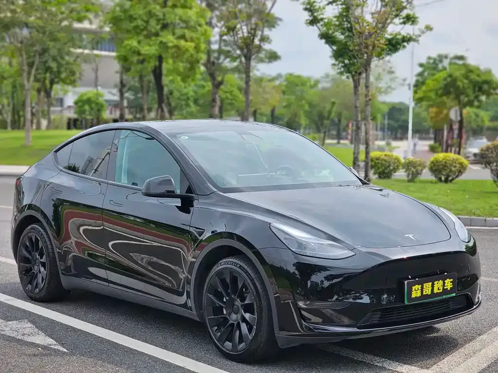 Tesla Model Y — фото 3