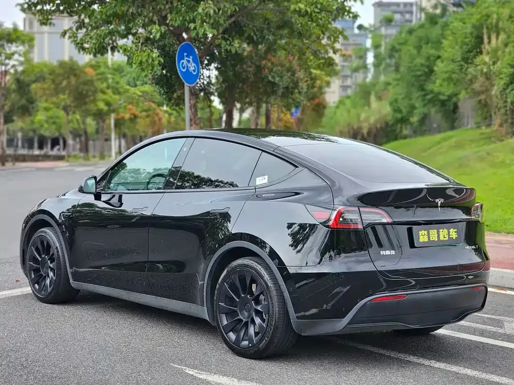 Tesla Model Y — фото 8